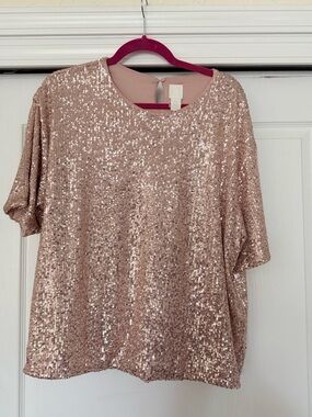 H&M Rose Gold Sequin Short Sleeve Top